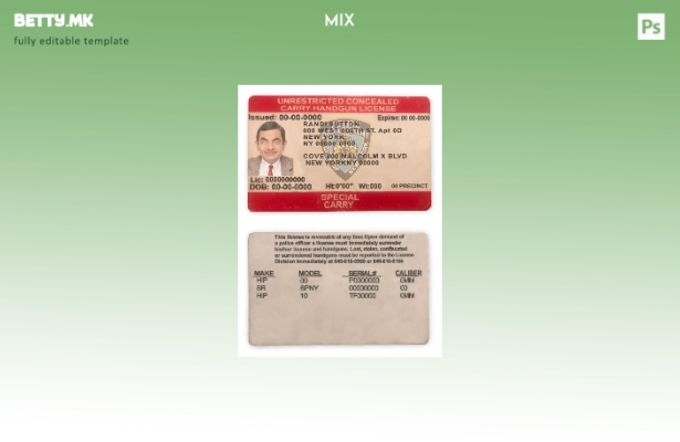 модерен стил САД Њујорк неограничен шаблон лиценца за скриено носење